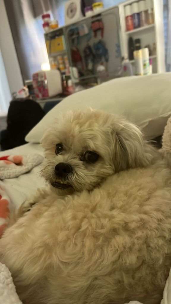 img-20250719-wa00112164570771203061619